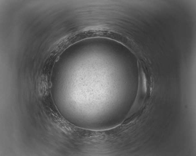 X0000085291062200703161444