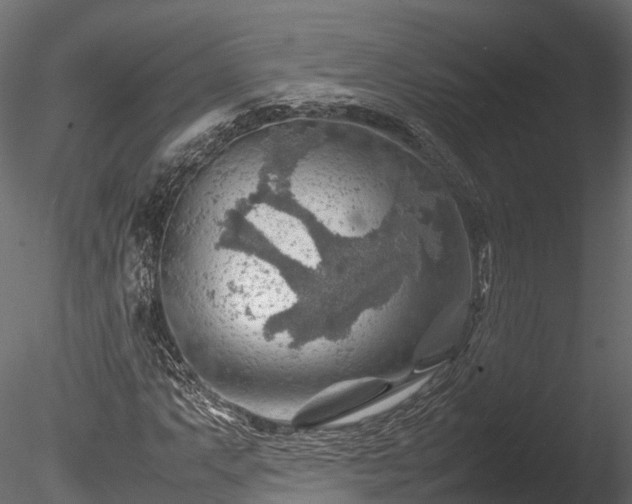 X0000085291063200703161444