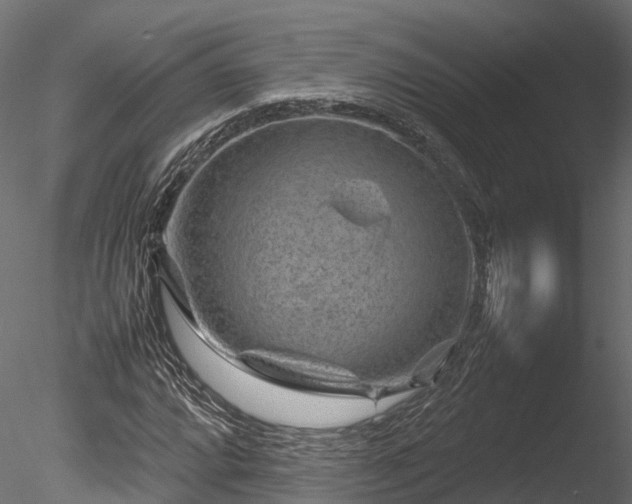 X0000085291064200703161444