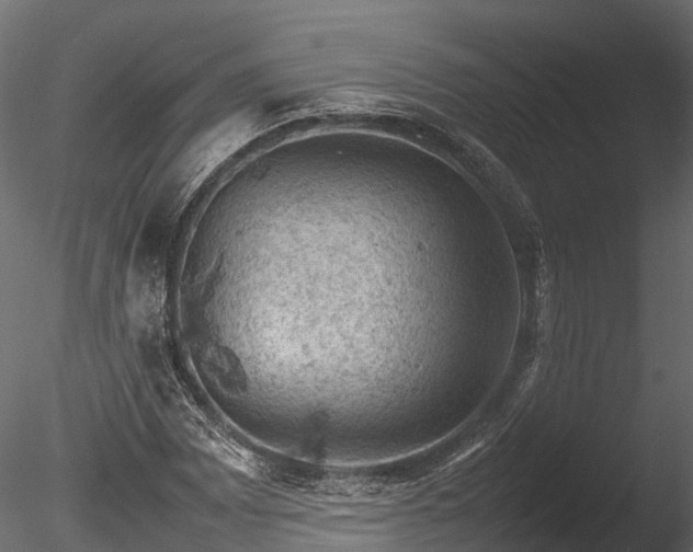 X0000085291065200703161444