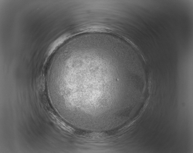 X0000085291067200703161444