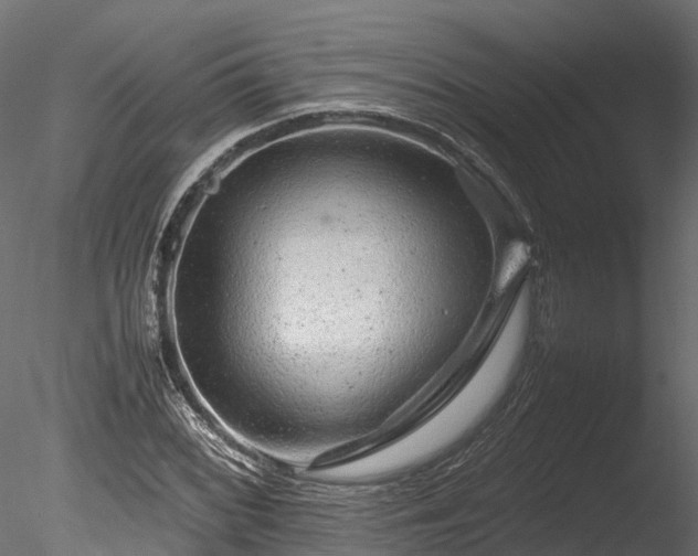 X0000085291068200703161444