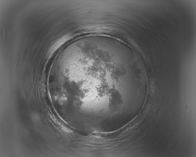 X0000085291071200703161444