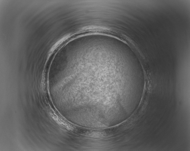 X0000085291074200703161444