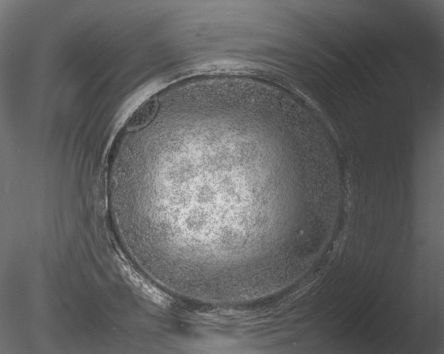 X0000085291075200703161444