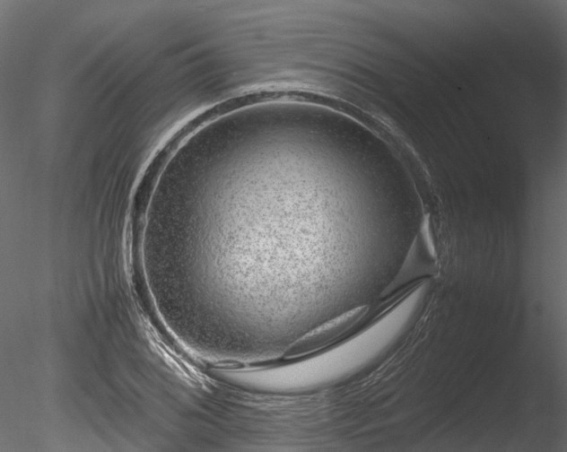 X0000085291076200703161444