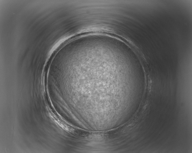 X0000085291078200703161444