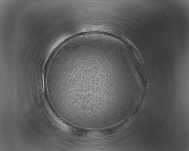 X0000085291079200703161444