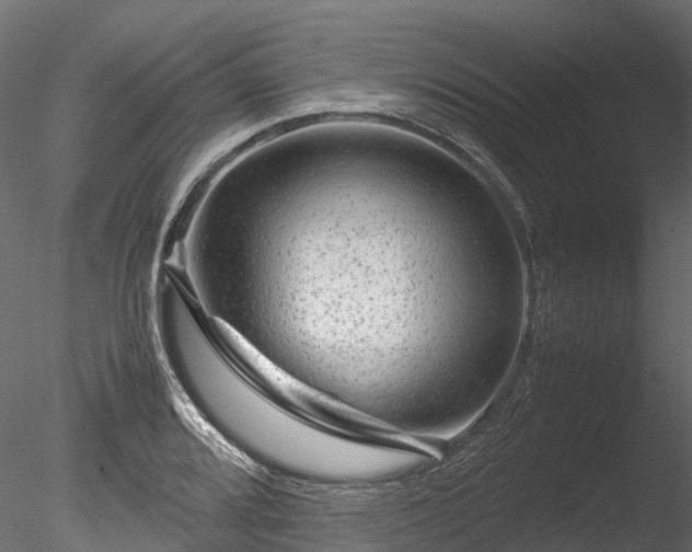 X0000085291080200703161444