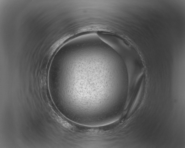 X0000085291081200703161444