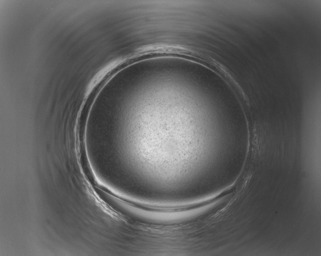 X0000085291082200703161444