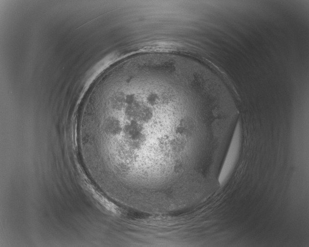 X0000085291083200703161444