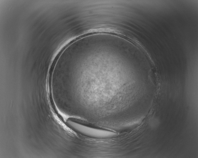 X0000085291084200703161444