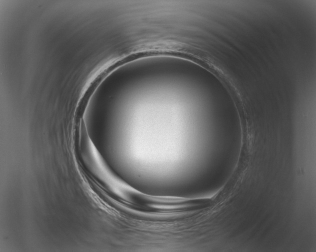 X0000085291085200703161444