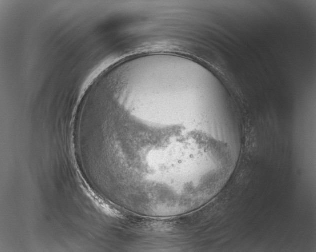 X0000085291086200703161444