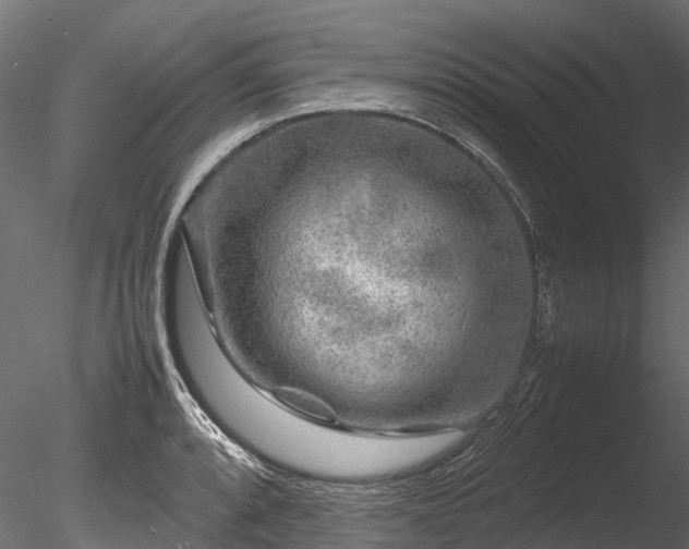 X0000085291088200703161444