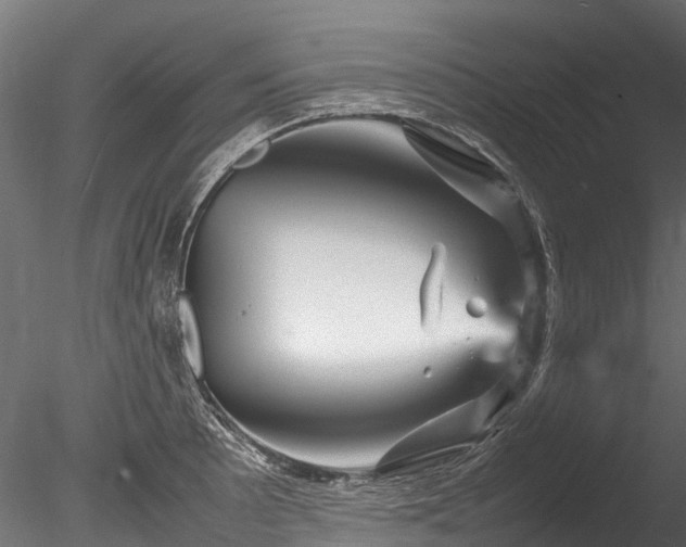 X0000085291089200703161443