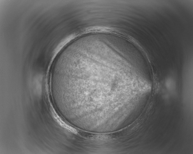 X0000085291090200703161443