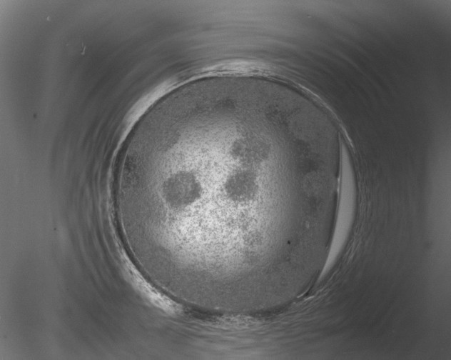 X0000085291091200703161443