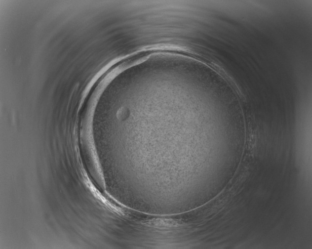 X0000085291092200703161443