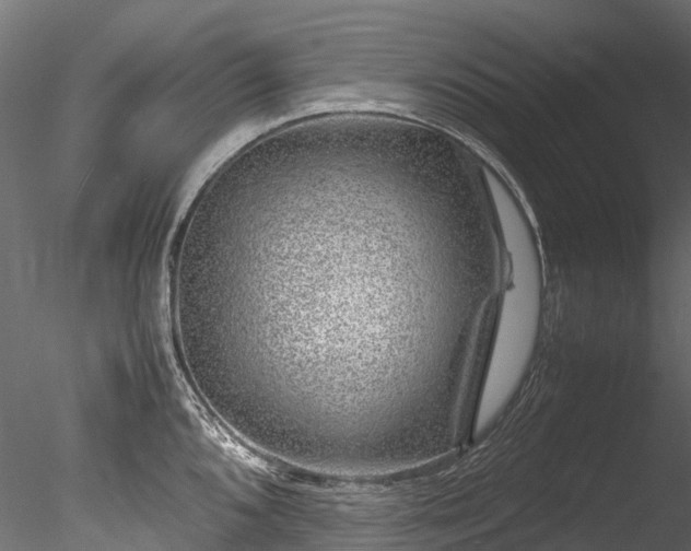 X0000085291096200703161443