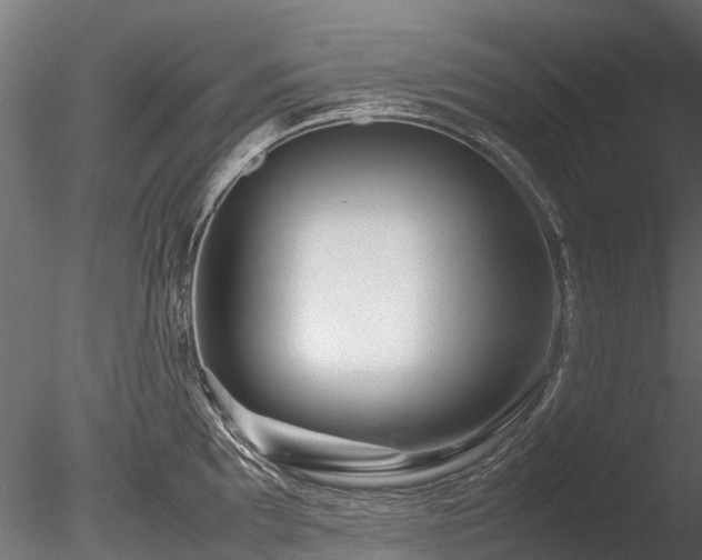 X0000085291097200703161443