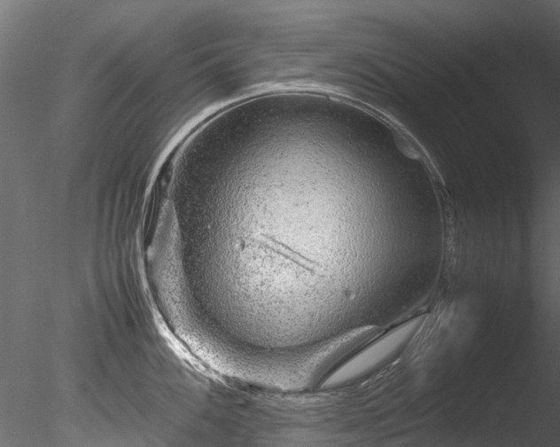 X0000085291100200703161443