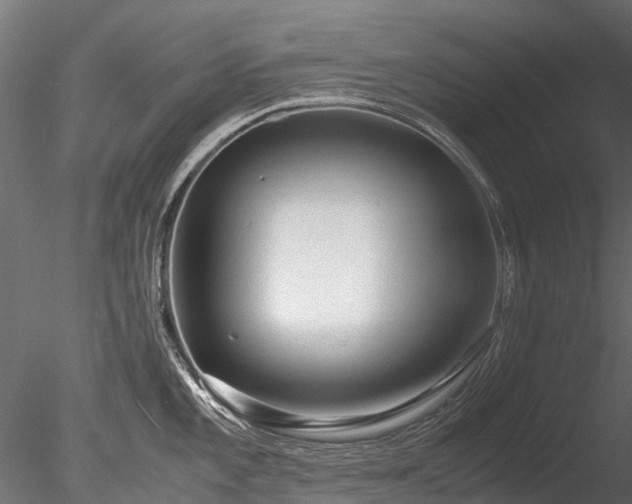 X0000085291101200703161443