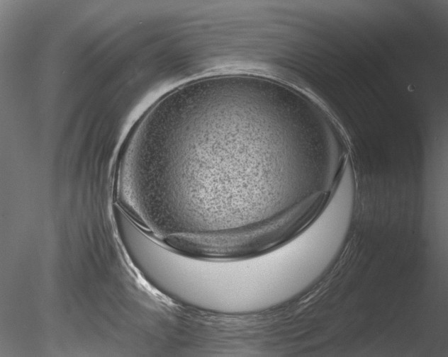 X0000085291102200703161443