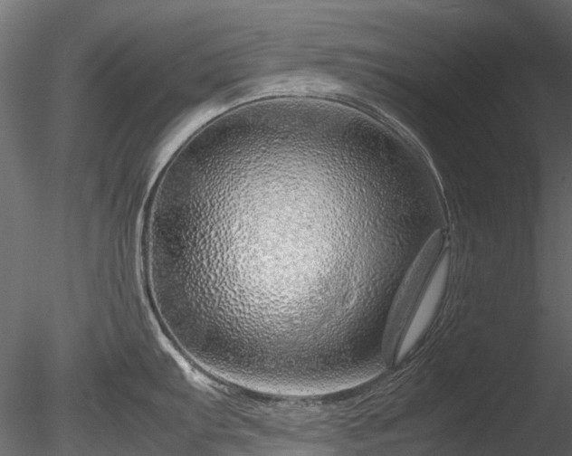 X0000085291103200703161443