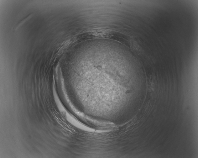 X0000085291106200703161442