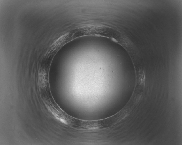 X0000085291108200703161442