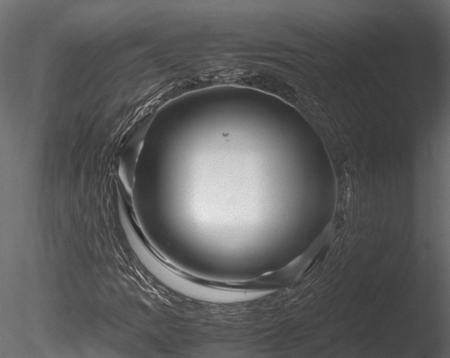 X0000085291109200703161442