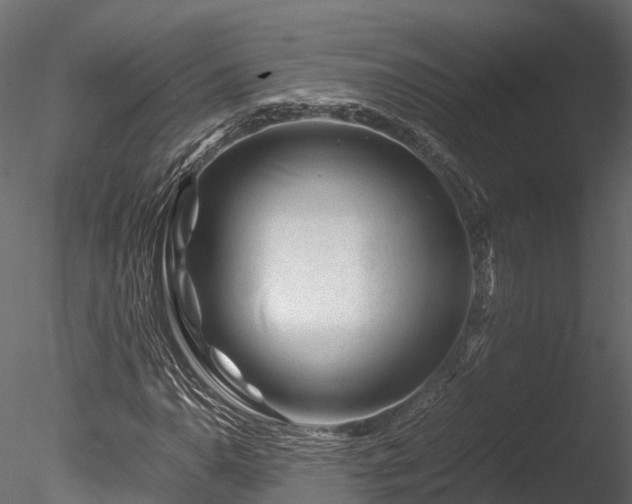 X0000085291110200703161442