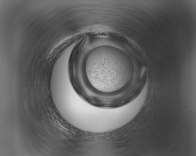 X0000085291112200703161443