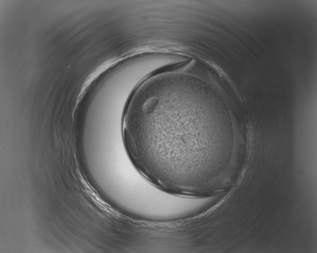 X0000085291114200703161443