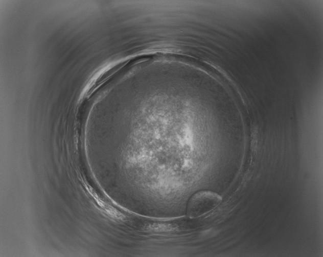 X0000085291115200703161443