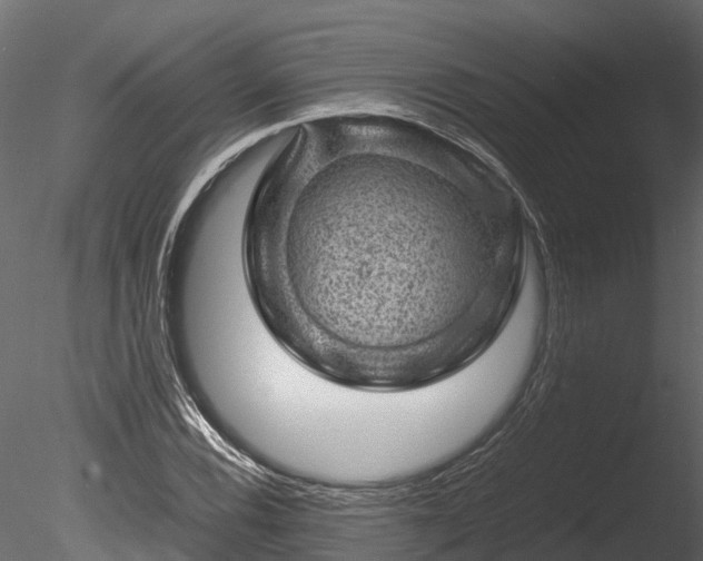 X0000085291116200703161443