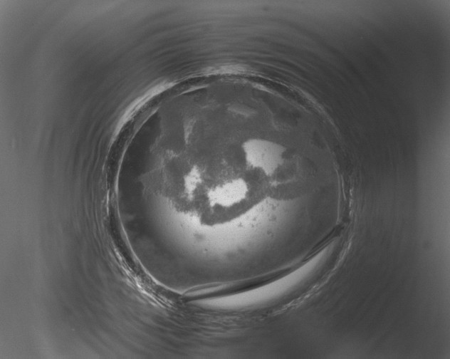 X0000085291117200703161443