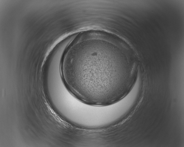 X0000085291118200703161443