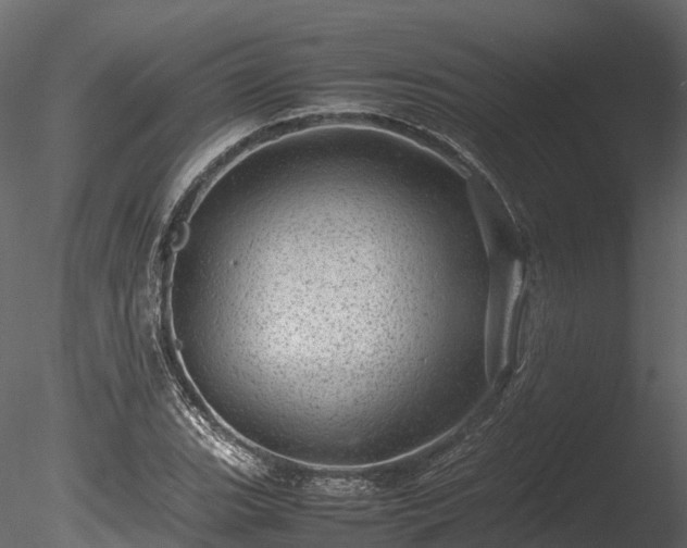 X0000085291119200703161443