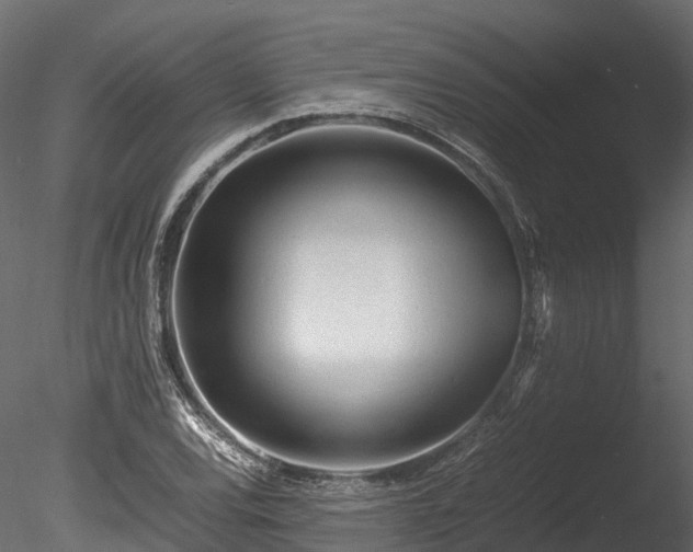 X0000085291120200703161443