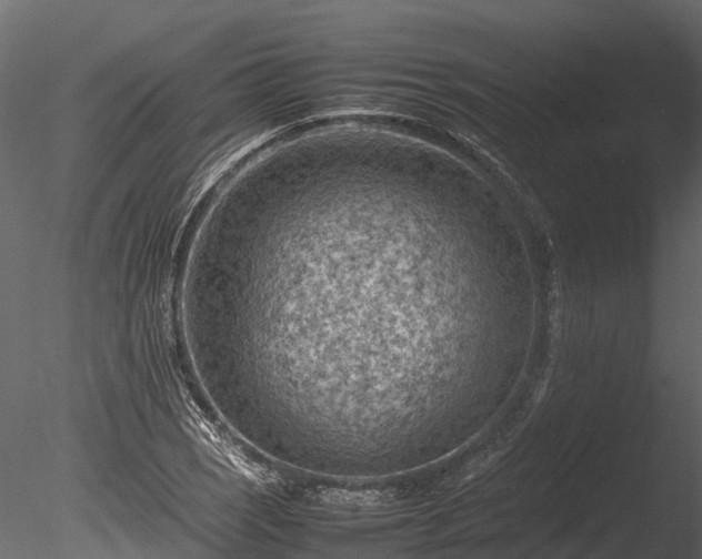 X0000085291121200703161443