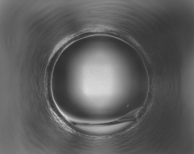 X0000085291122200703161443