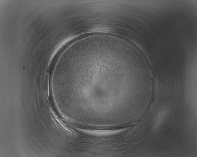 X0000085291123200703161443