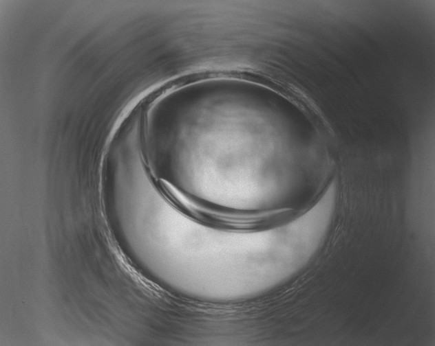 X0000085291124200703161443