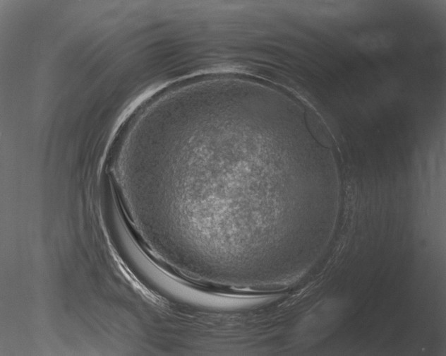 X0000085291127200703161443