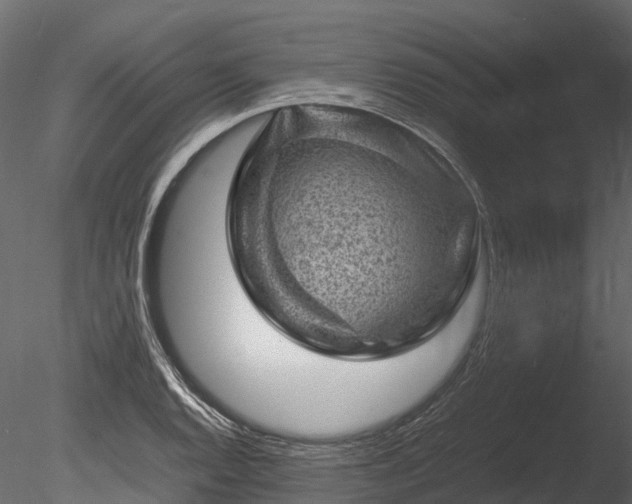 X0000085291128200703161443