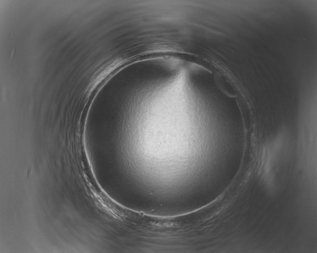 X0000085291129200703161443