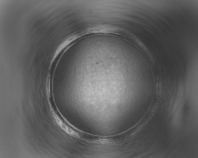 X0000085291130200703161443